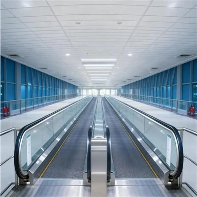 Airport Passenger Moving Walk Airport Passenger Moving Walk